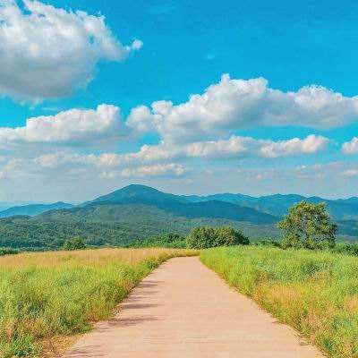 电子娱乐平台游戏大全